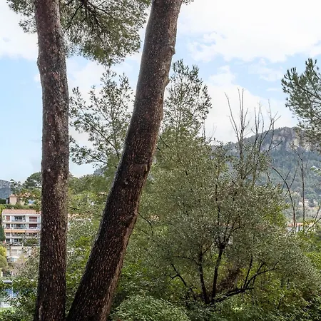 Lou Pichot Par Dodo A *